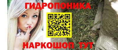 mdma Камышлов