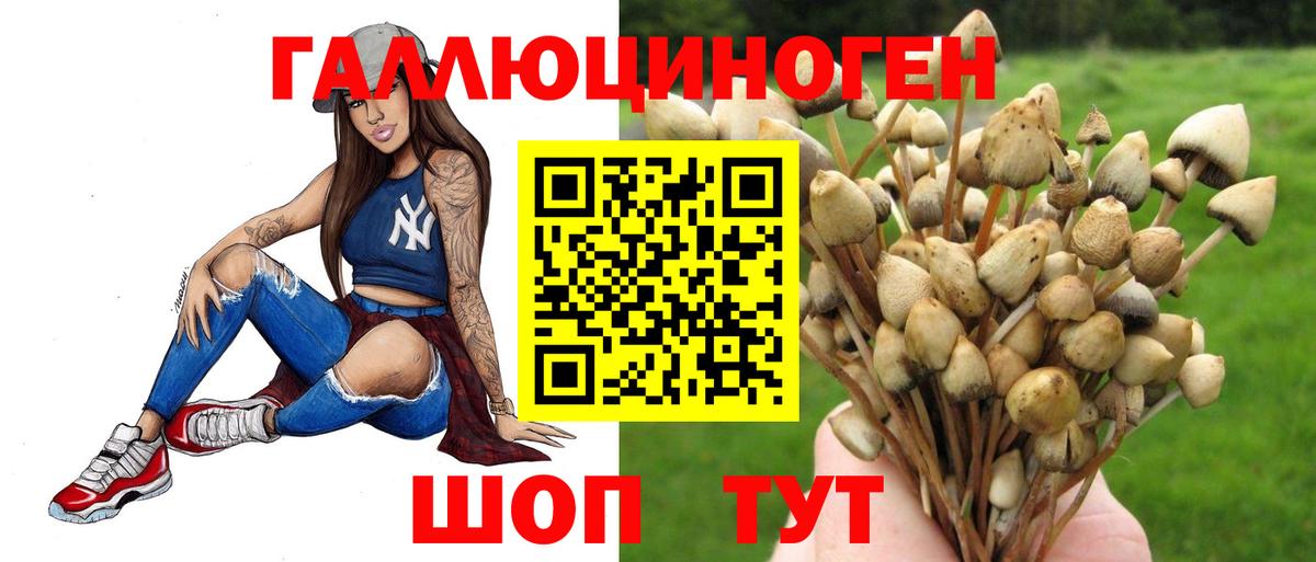 Галлюциногенные грибы Psilocybe Коммунар