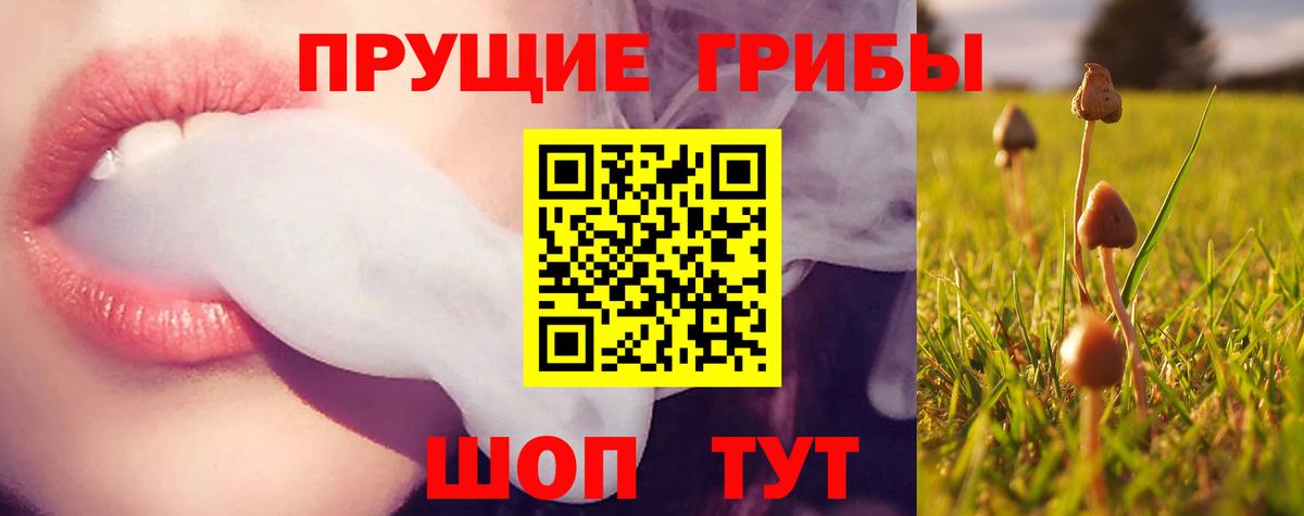 Псилоцибиновые грибы ЛСД  Вход с VPN  Галлюциногенные грибы GOLDEN TEACHER  Коммунар 